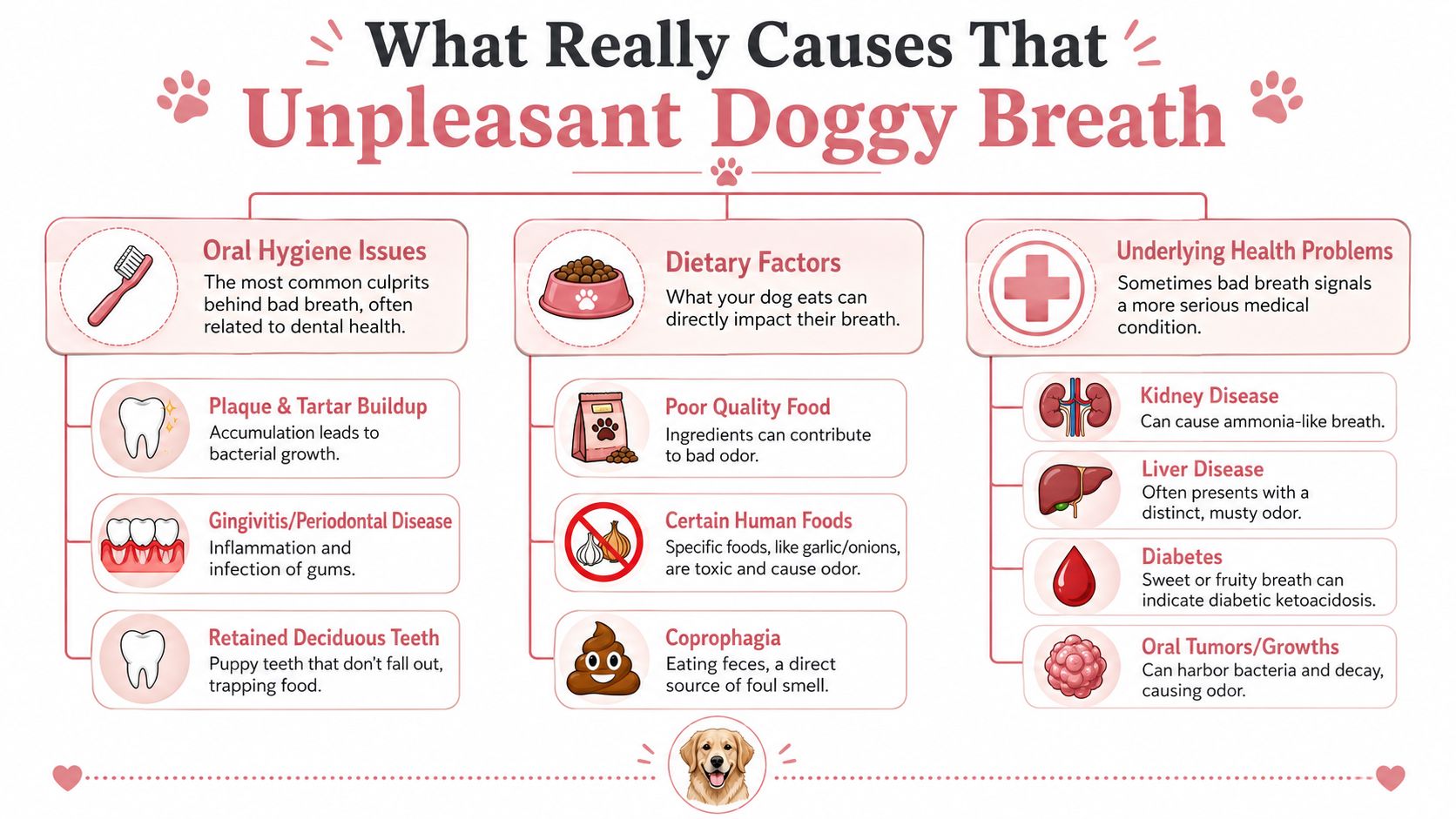 How to Fix Bad Dog Breath: An Owner's Practical Guide